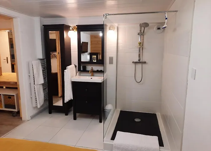 Lejlighed Avec Terrasse Et Billard Zimmerbach