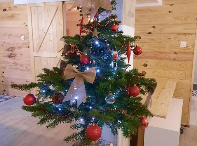 Avec Terrasse Et Billard * Zimmerbach