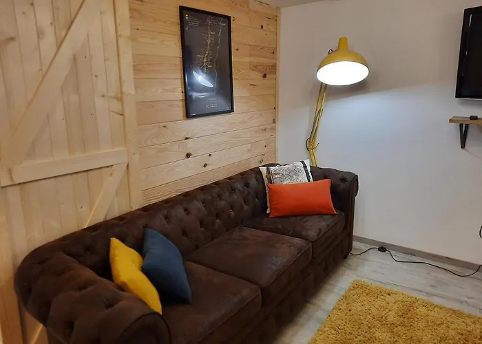 Avec Terrasse Et Billard Lejlighed