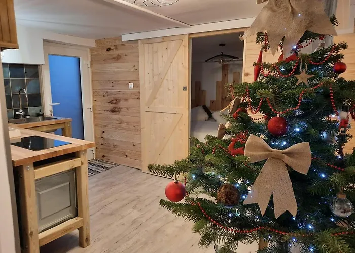 Avec Terrasse Et Billard Lejlighed Zimmerbach